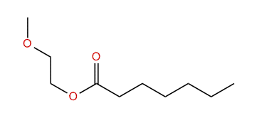 2-Methoxyethyl heptanoate